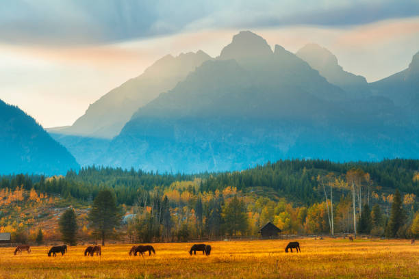 istock Autumn Morning in the Tetons 1486107807