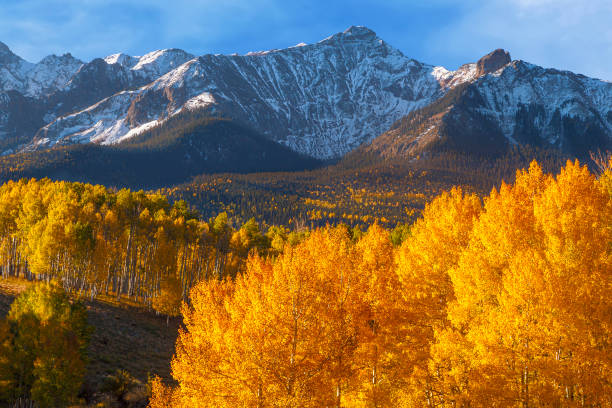 Cimarron Range Fall Colors Colorado - Scenic autumn leaf colors and rugged peaks of the San Juan Mountains.