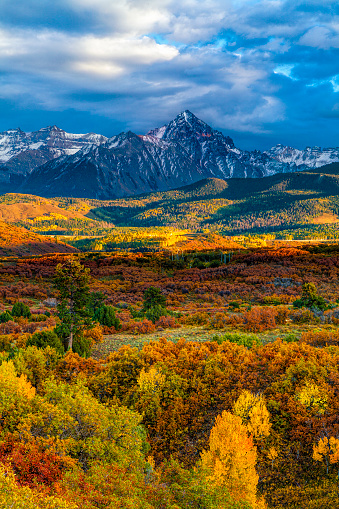 Autumn colors at the Dallas Divide in Colorado's San Juan Mountains.