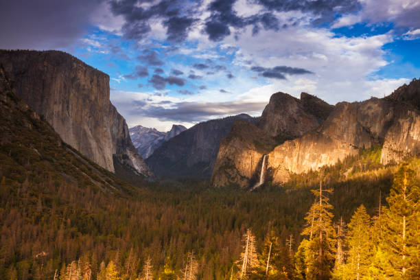 istock Yosemite Valley from Tunnel View 1486108922