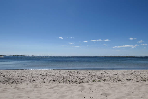 istock Scenic view of beach against blue sky 1486110519