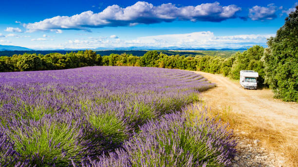 istock Caravan camping at lavender field, France 1486114878
