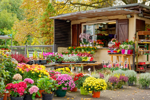 istock Colorful flowers on a sidewalk. 1486114887