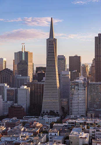 San Francisco, United States - November 25, 2022: A picture of the Transamerica Pyramid and the surrounding Downtown San Francisco.