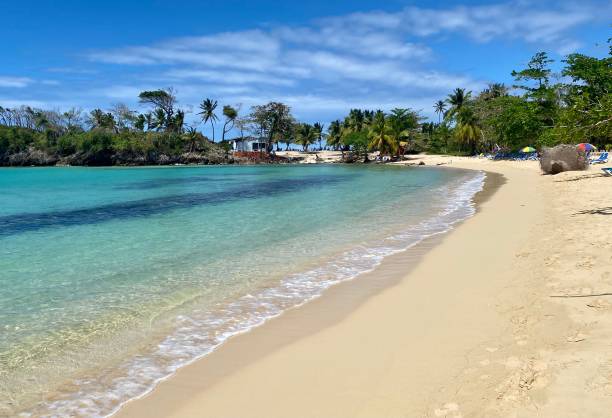 istock Playa Rincon in Samana, Dominican Republic 1486119268