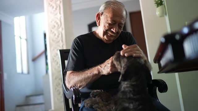 Senior man playing with dog at home
