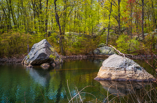 Lincoln Woods State Park and Olney Pond spring landscape with glacial rocks in the water and new sprouts on the trees near Providence, Rhodes Island, USA