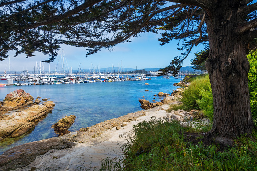 Historic Monterey Harbor and Marina is in the Monterey Bay California