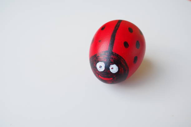 istock Easter egg painted red, white and black with a cheerful face of ladybug. Boiled chicken dyed egg with red shell. White background. Big eyes on the fun face. Copy space. Black dots on wings. 1486131612