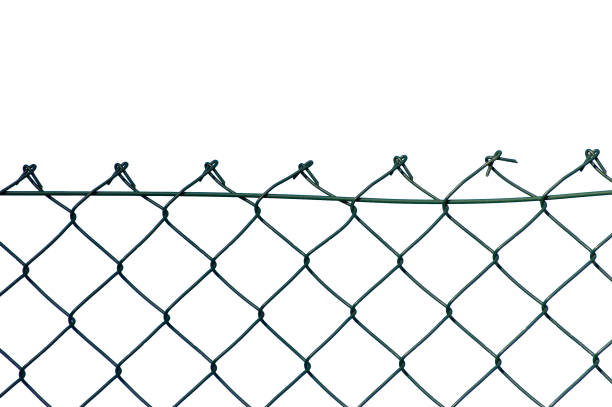 istock New wire mesh security fence, large detailed isolated green chain links, horizontal macro closeup, white background, blank empty torn chainlink copy space 1486135923