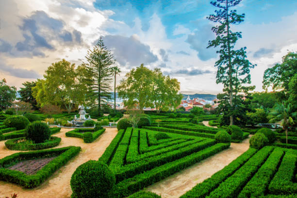 Idyllic   view Ajuda Botanical Garden in Lisbon in sunset with topiary bushes (boxwood)  ana  amazing trees