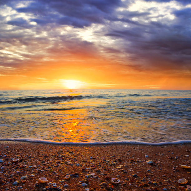 istock quiet summer sea bay at the dramatic sunset, summer sea background 1486141392