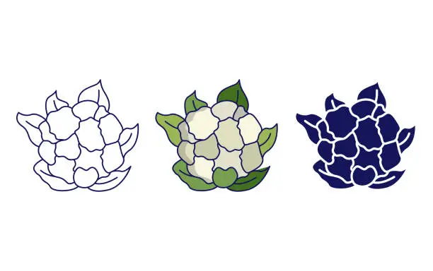 Vector illustration of Cauliflower vector icon