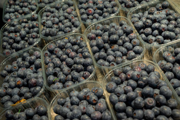 istock Full frame image of juicy, fresh blueberries. 1486146652