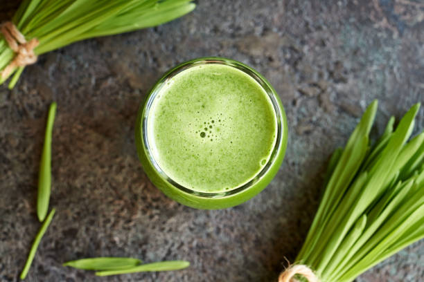 ein glas gerstengrassaft mit frischem gerstengras - wheatgrass stock-fotos und bilder