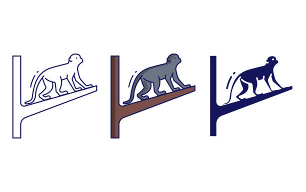 Primates vector icon Primates vector icon floresta stock illustrations