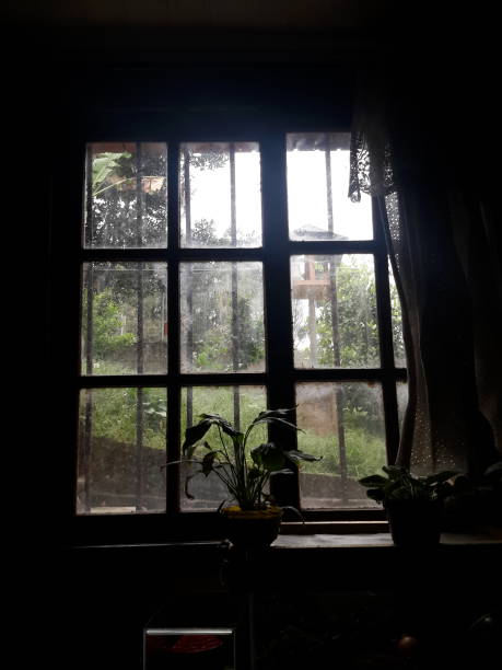 istock window in the house 1486162447