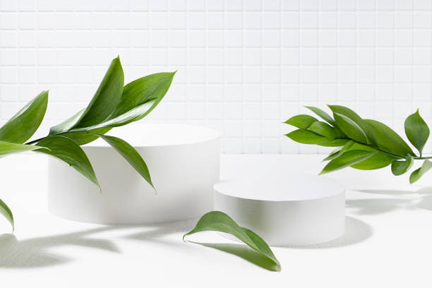 istock White contemporary fresh stage with two cylinder podiums mockup, tiny tile wall, bright tropical green leaves in summer hard light with shadows for presentation cosmetic products, goods, design. 1486163317