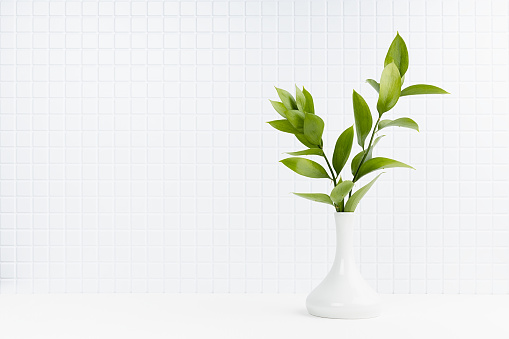 Modern simple white interior with tiny tiles on wall, wood table, lush foliage on green branch in vase in bright summer sunlight. Fresh sunny home decor kitchen, bathroom, work space, copy space.