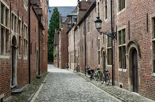 Small cobble-stone street with traditional flanders houses in Grand beguinage of Leuven