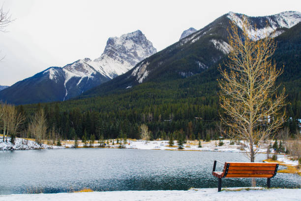istock Park bench at Quarry Lake 1486166976