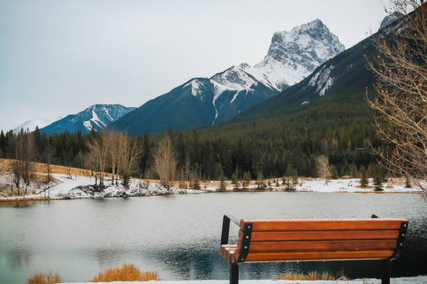 istock Park bench at Quarry Lake 2 1486167003