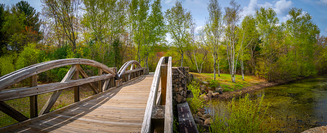 Wood bridge and walking trails at Lincoln Woods State Park near Providence, Rhodes Island, USA, with vibrant spring sprouts and foliage