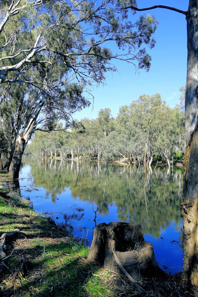 istock Lower Moira, Victoria, Australia 1486171310
