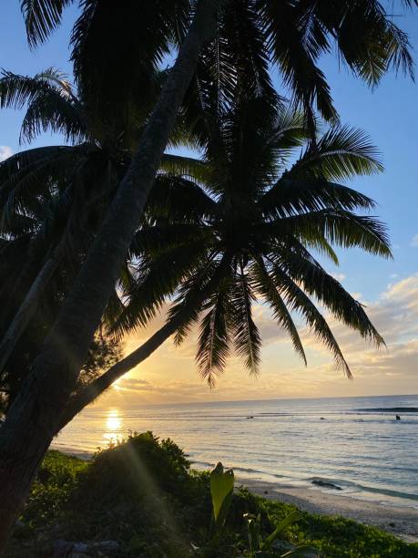 istock Beautiful beach sunset in Rarotonga 1486172857