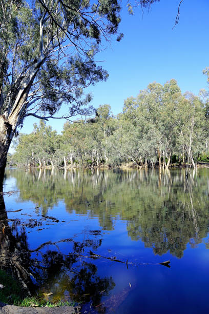 istock Lower Moira, Victoria, Australia 1486172920