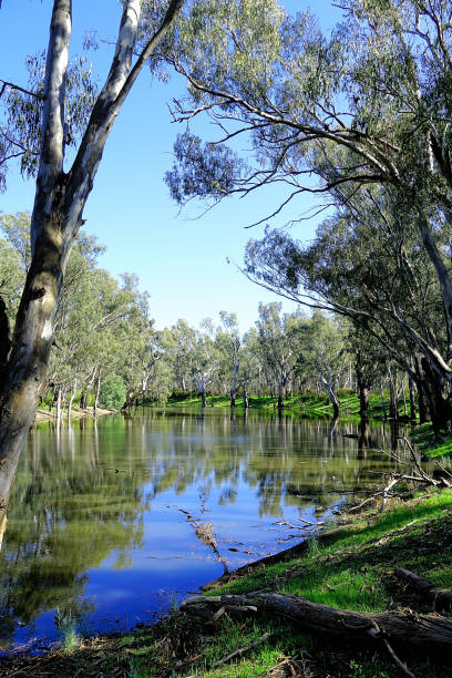 istock Lower Moira, Victoria, Australia 1486173004