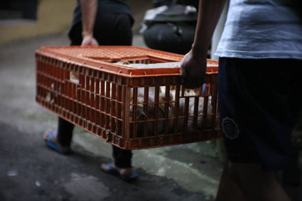 チキンのバスケットを運ぶ - vietnam market asia bird ストックフォトと画像