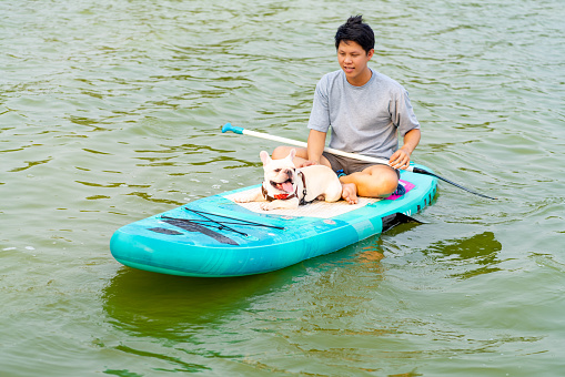Asian man with his French bulldog paddle boarding in the lake during travel together at pets friendly park. Domestic dog with owner enjoy outdoor lifestyle on summer vacation. Pet Humanization concept.