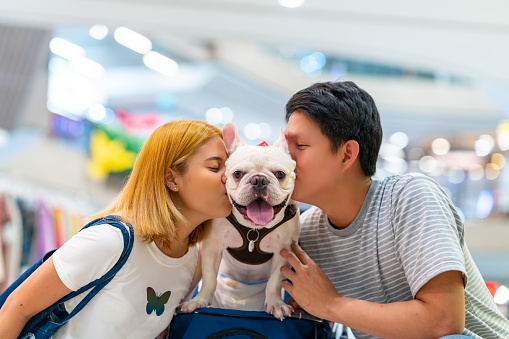 Asian couple kissing their french bulldog breed in cafe at pets friendly shopping mall. Domestic dog and owner enjoy outdoor lifestyle travel city on summer holiday vacation. Pet Humanization concept.