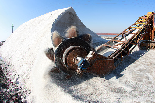 machine placing the harvested and washed salt on a conveyor belt. Salt production equipment, The equipment and salt stock of a salt plant