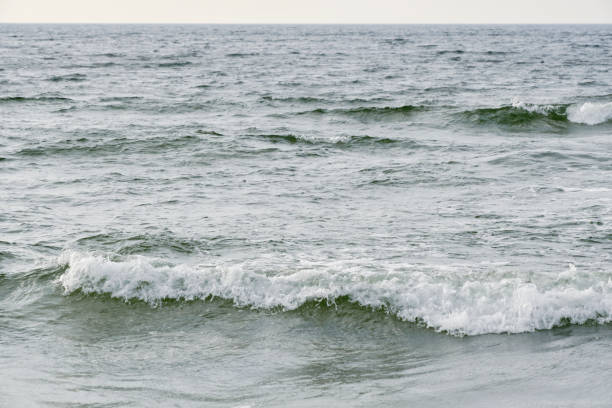istock Surf wave with foam splashes on sea. 1486183597