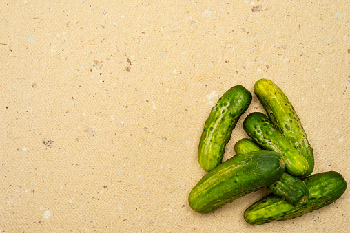 Group of fresh cucumber over abstract surface.