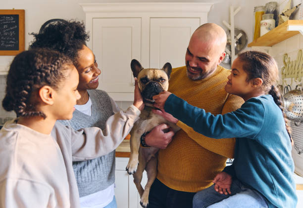 Family and boy with Down syndrome stroking pet dog French bulldog smiling