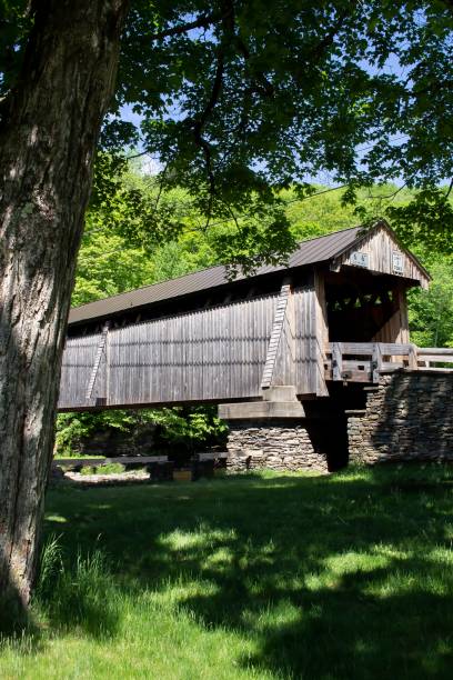 istock Wooden covered bridge, grass and trees 1486192130