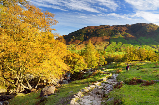 Male hiker exploring the Great Langdale valley in the Lake District, famous for its glacial ribbon lakes and rugged mountains. Popular vacation destination in Cumbria, North West England.