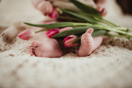 Baby feet with flowers and copy space