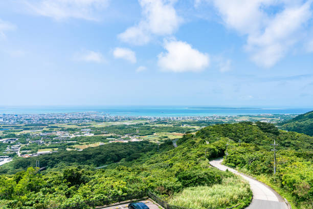 Enjoy the greenery and the ocean in the distance.