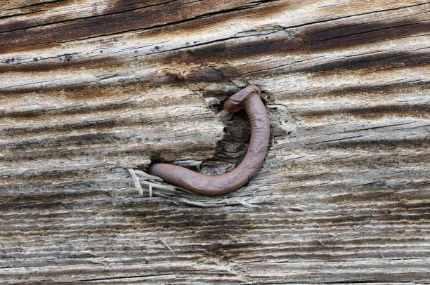 old rusty nail on a wooden background