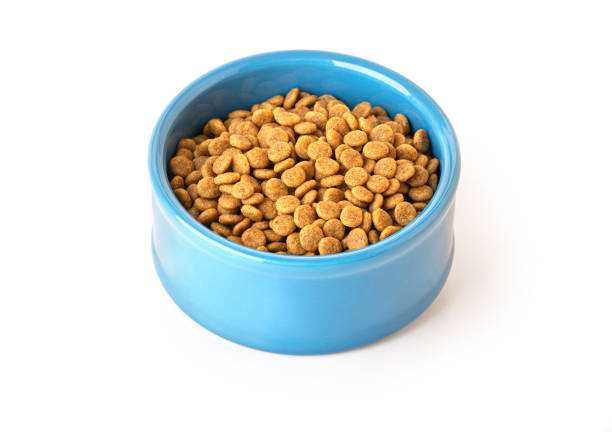 istock A blue bowl for feeding dogs or cats 1486213196