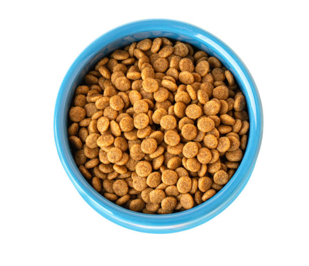 Dried kibble pet food
