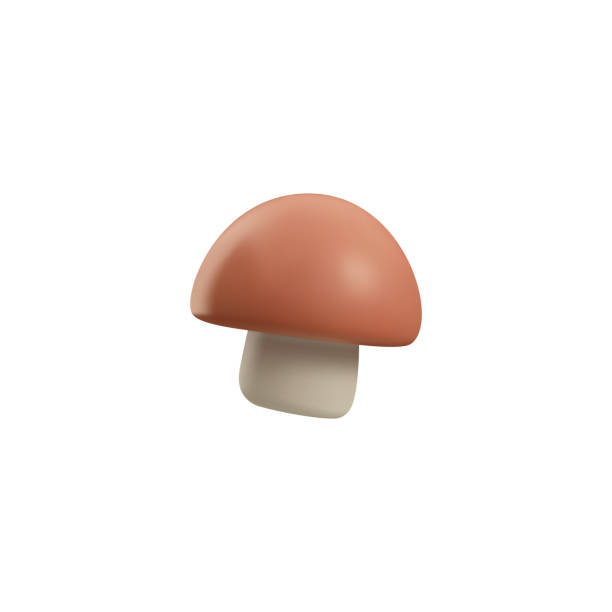 istock Champignon or white mushroom in cute 3d style, vector illustration isolated on white background. 1486213320