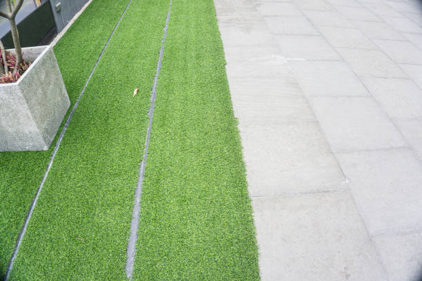 istock Green grass on cement pathway exterior decoration 1486220650