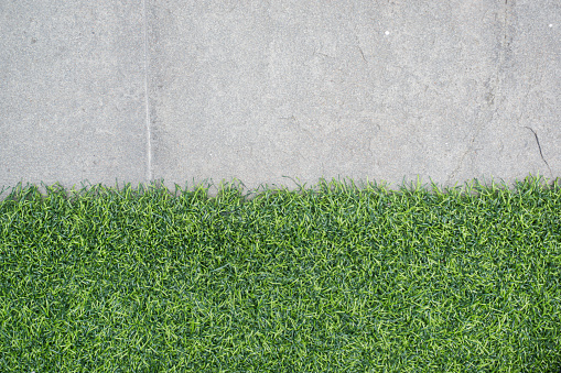 Green grass on cement pathway exterior decoration green grass