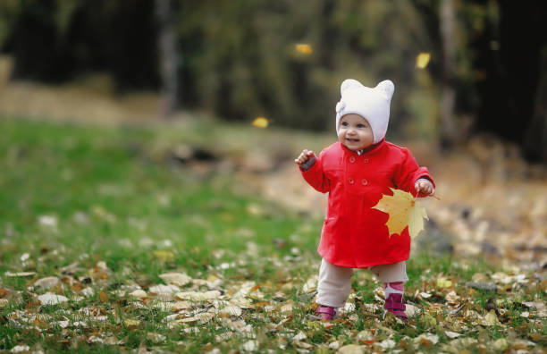 Charming joyful toddler in red coat holding fall leaf in hand walking nice autumn day, looking away. Adorable happy baby one years old walk in fall park. Childhood emotion concept. Copy ad text space encantador niño alegre con abrigo rojo sosteniendo la hoja de otoño en la mano caminando un bonito día de otoño, mirando hacia otro lado. adorable bebé feliz de un año de edad caminar en el parque de otoño. concepto de emoción infantil. copiar el e