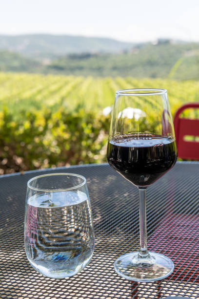 istock Vineyard with mountains and wine glass 1486222010